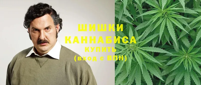 Конопля THC 21%  Гаджиево 